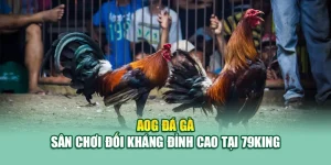 AOG Đá Gà – Sân Chơi Đối Kháng Đỉnh Cao Tại 79King 9 AOG Đá Gà – Sân Chơi Đối Kháng Đỉnh Cao Tại 79King