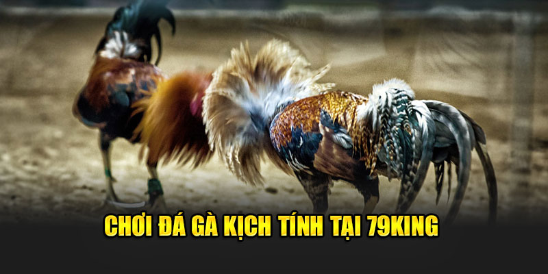 79King 25 Chơi đá gà kịch tính tại 79King