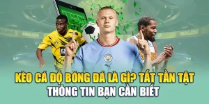 Kèo Cá Độ Bóng Đá Là Gì? Tất Tần Tật Thông Tin Bạn Cần Biết  3 Kèo Cá Độ Bóng Đá Là Gì? Tất Tần Tật Thông Tin Bạn Cần Biết
