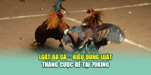 Luật Đá Gà – Hiểu Đúng Luật, Thắng Cược Dễ Tại 79King 6 Luật Đá Gà – Hiểu Đúng Luật, Thắng Cược Dễ Tại 79King