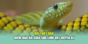 Mơ Thấy Rắn – Điềm Báo Ẩn Giấu Sau Linh Vật Huyền Bí 1 Mơ Thấy Rắn – Điềm Báo Ẩn Giấu Sau Linh Vật Huyền Bí